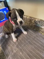 processed/638cf2e8-303b-4735-8c78-fb014d870086/listing/2e62effa-3bf3-4157-8287-b30e1b094c92/2053ef98-0f3b-4d58-a3f6-4ae0b71ad587