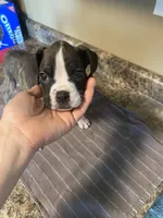 processed/638cf2e8-303b-4735-8c78-fb014d870086/listing/2e62effa-3bf3-4157-8287-b30e1b094c92/37f75538-83ba-4db7-b783-2ad7c63b835a