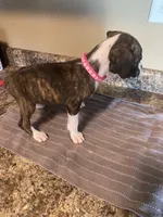 processed/638cf2e8-303b-4735-8c78-fb014d870086/listing/2e62effa-3bf3-4157-8287-b30e1b094c92/52ef863f-1dc2-4486-b6b7-e1f446d915da