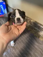 processed/638cf2e8-303b-4735-8c78-fb014d870086/listing/2e62effa-3bf3-4157-8287-b30e1b094c92/a9e423fb-3790-41d6-aacd-1c34941a29ff