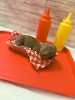 Woody, a male Miniature Dachshund for sale in Alexandria, IN – 3 of 4