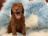 processed/6395fe03-dbe6-435c-95fe-824ec80ae904/facility/02db0780-d38f-44a5-b110-47b6dcb80c6c