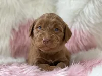 processed/6395fe03-dbe6-435c-95fe-824ec80ae904/facility/20299a49-4201-484b-80e9-5e8a2466a5d2