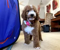 processed/6395fe03-dbe6-435c-95fe-824ec80ae904/facility/2ae6d4cb-26c8-4c51-8721-53725f6a42dc