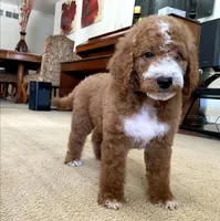 processed/6395fe03-dbe6-435c-95fe-824ec80ae904/facility/3a999156-37ca-47bc-b44c-968179490cca