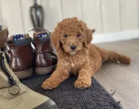 processed/6395fe03-dbe6-435c-95fe-824ec80ae904/facility/3c7d547b-c72a-480c-9093-573d51683c3d