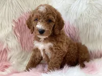 processed/6395fe03-dbe6-435c-95fe-824ec80ae904/facility/42cc2f95-6996-4ddc-9d25-e5945b40d40e