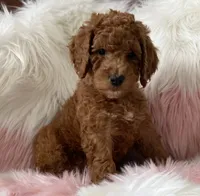 processed/6395fe03-dbe6-435c-95fe-824ec80ae904/facility/95e2c8ac-05ea-4f5e-af00-a53d4b4ea81a