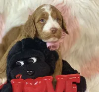 processed/6395fe03-dbe6-435c-95fe-824ec80ae904/facility/bc2ecdfd-bb9e-4dbe-8df7-43352c4d0cbf