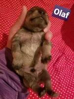 processed/639f57d2-c5eb-415e-9137-b5951bf2af3b/listing/0ef0861e-8cf1-4375-a245-7e2c4441f5a6/557087d4-bf37-4525-847f-b07298654049