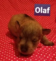 processed/639f57d2-c5eb-415e-9137-b5951bf2af3b/listing/0ef0861e-8cf1-4375-a245-7e2c4441f5a6/63c33090-b5d3-438a-9ff1-67c5b315e147