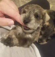 processed/639f57d2-c5eb-415e-9137-b5951bf2af3b/listing/0ef0861e-8cf1-4375-a245-7e2c4441f5a6/82f52de2-442a-49a1-9ceb-6ec085f55c34