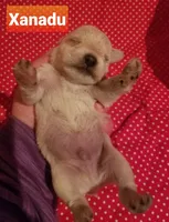 processed/639f57d2-c5eb-415e-9137-b5951bf2af3b/listing/85b08e7b-28d5-45bc-a4c6-5eaea5e3ef8f/365583e8-b8a9-4966-9049-a45f6cb41e88