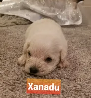 processed/639f57d2-c5eb-415e-9137-b5951bf2af3b/listing/85b08e7b-28d5-45bc-a4c6-5eaea5e3ef8f/5f56a55e-9c7b-4cf4-9735-2d2535a9e550