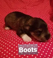 processed/639f57d2-c5eb-415e-9137-b5951bf2af3b/listing/aaec17ed-ac93-4393-9f77-4d1aa68ecafa/f3aebdbe-5995-440e-a8f6-b77d2e1d8b9f