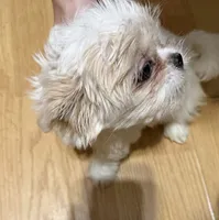 processed/63ad6a21-b1f7-4c89-b3a4-71679e40870c/listing/145eb93f-a339-4ef3-b388-b489cc30d8e4/0552e77f-9230-489c-8f39-d2336d6bc3a2