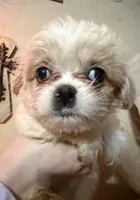 processed/63ad6a21-b1f7-4c89-b3a4-71679e40870c/listing/145eb93f-a339-4ef3-b388-b489cc30d8e4/1672412c-2095-4d02-bbbb-dd622437adc6