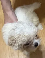 processed/63ad6a21-b1f7-4c89-b3a4-71679e40870c/listing/145eb93f-a339-4ef3-b388-b489cc30d8e4/5d9b6cc0-f030-42d4-b1b0-7e583e224b54