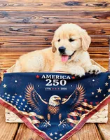 AKC Golden Retriever Blue Collar Male, a male Golden Retriever for sale in Patrick, SC – 3 of 9