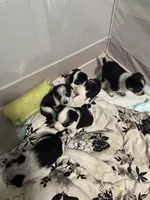 processed/63b3488a-989f-4d65-b377-eee9d15a0e0b/facility/01247abb-cbb6-4553-a916-80a0d56c4fdf