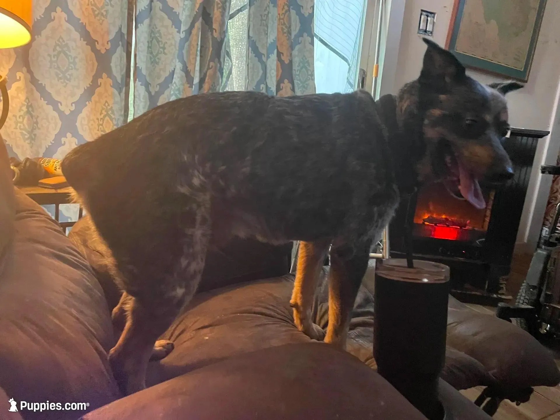 processed/63b3488a-989f-4d65-b377-eee9d15a0e0b/facility/4fe854e2-c1da-47e7-8c29-ca6cc8dc563c