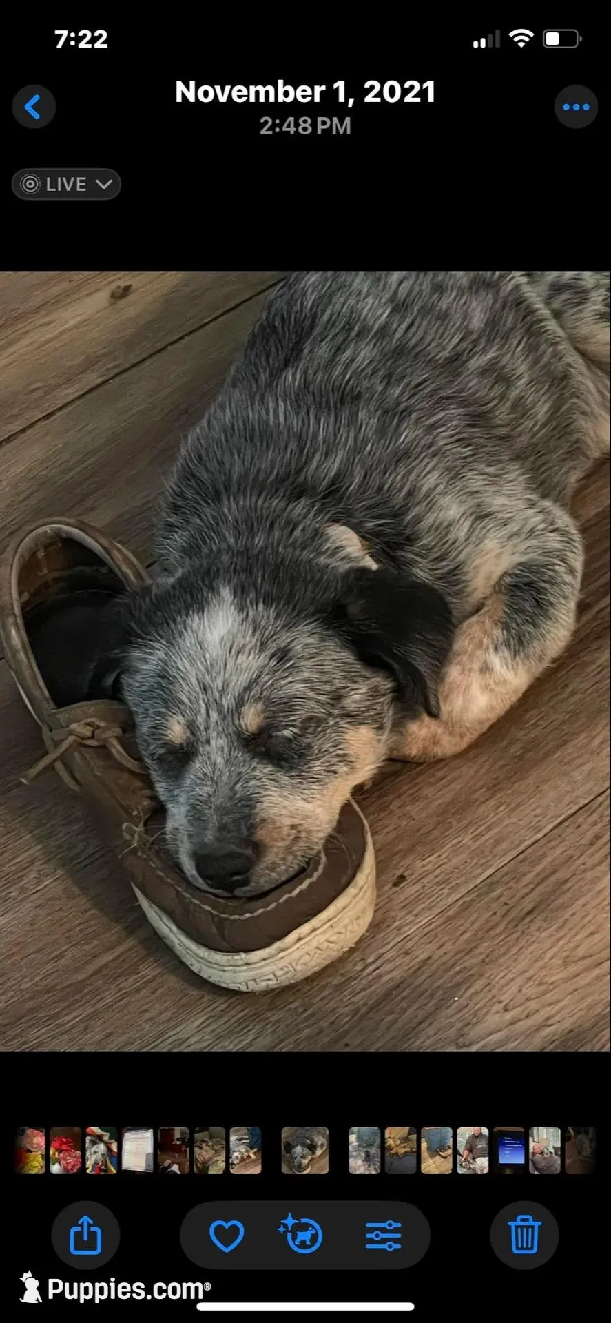 processed/63b3488a-989f-4d65-b377-eee9d15a0e0b/facility/55cb551e-6ee0-4b1c-bce2-be22f6ee9bae