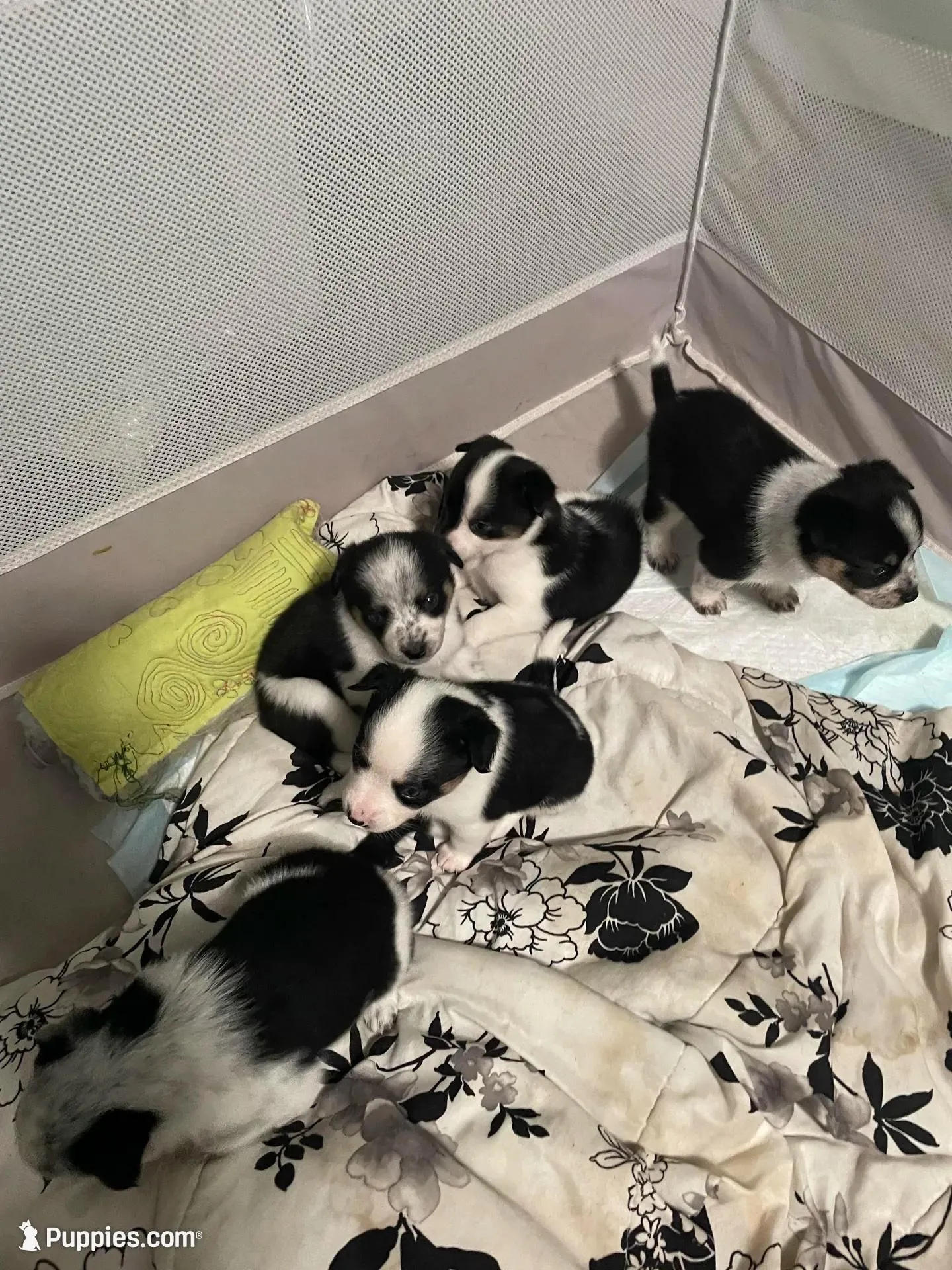 processed/63b3488a-989f-4d65-b377-eee9d15a0e0b/facility/7c1768cf-501a-4f39-bf6c-4ed3a3fe9384