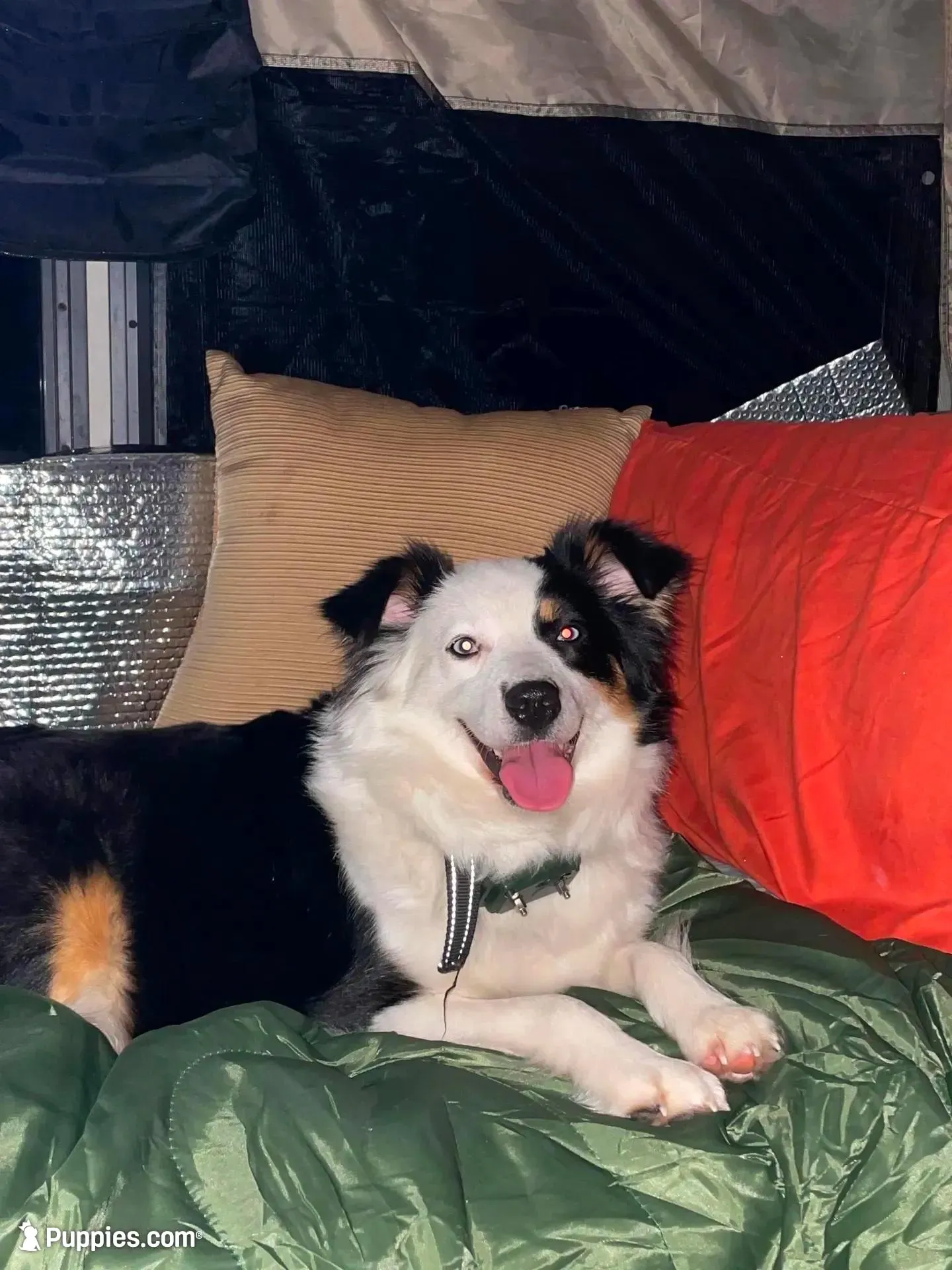 processed/63b3488a-989f-4d65-b377-eee9d15a0e0b/facility/847d1d76-ecaf-4eb6-9258-73caea09145b