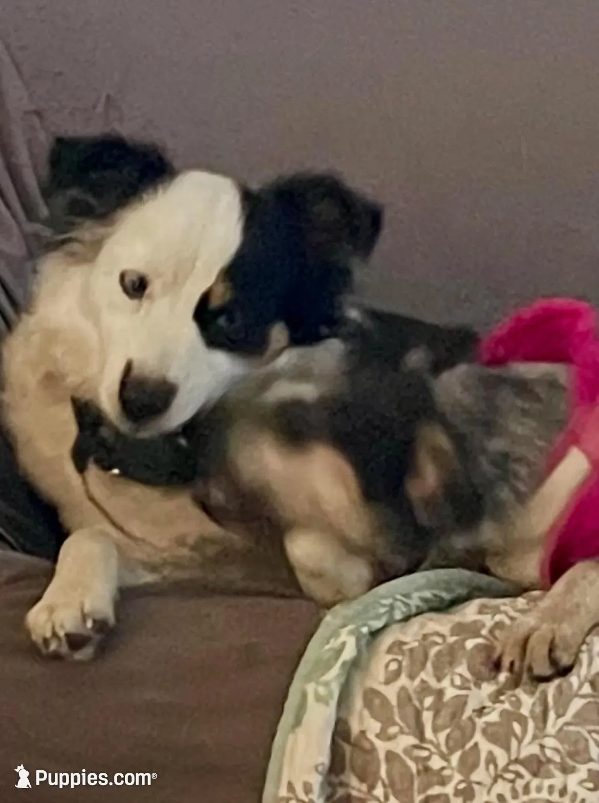 processed/63b3488a-989f-4d65-b377-eee9d15a0e0b/facility/b428c673-298c-42ff-b695-a381ed56c9e6