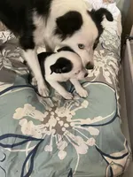 processed/63b3488a-989f-4d65-b377-eee9d15a0e0b/facility/c1aa9006-6698-4f92-a0dd-5c5c80cda38b