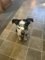 processed/63b3488a-989f-4d65-b377-eee9d15a0e0b/facility/c9d18a8b-babb-441a-85b6-c8736a98f0c1