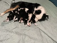 processed/63b3488a-989f-4d65-b377-eee9d15a0e0b/facility/f91b9050-61a4-444e-bb0f-02ae1a174294