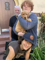 Light Green CKC/DNA HLTH Tested    , a male Golden Retriever for sale in Los Angeles, CA – 4 of 8