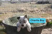 processed/63bfe58c-b5ea-4983-9d38-1531cd82660e/listing/aa87b325-754c-4089-a6fb-0a8b57a4f674/33ae31d0-6da9-4b16-bbfd-a2cfff0724d6