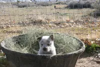 processed/63bfe58c-b5ea-4983-9d38-1531cd82660e/listing/aa87b325-754c-4089-a6fb-0a8b57a4f674/5dc3deda-46c4-4af9-bd4a-68b92c77d27d