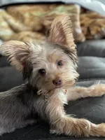 processed/63d402e7-da1f-4acc-980c-d14d16c33ac3/facility/f3f3f111-6229-4ef6-bd1f-ac5a119e1c00