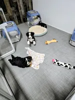 Facility photo