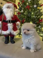 processed/63d646a2-e309-45b4-bd7f-1f2c7d0d9634/listing/90a28c7a-f073-4fa4-b10b-52516dc6ab3b/5edeffa3-a8dc-483c-b8de-7e6cbd1b4569