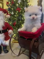 processed/63d646a2-e309-45b4-bd7f-1f2c7d0d9634/listing/90a28c7a-f073-4fa4-b10b-52516dc6ab3b/726bbefe-edc8-4d66-bd42-d75836974e56