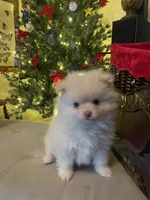 processed/63d646a2-e309-45b4-bd7f-1f2c7d0d9634/listing/90a28c7a-f073-4fa4-b10b-52516dc6ab3b/edf91eff-094d-4708-b2d3-55c2ebe17993