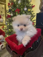 processed/63d646a2-e309-45b4-bd7f-1f2c7d0d9634/listing/90a28c7a-f073-4fa4-b10b-52516dc6ab3b/f78d1032-8d43-4845-9b5d-f2395a46b9a5