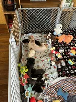 processed/63dd0e6e-184d-4c4a-8467-98d596dbf173/facility/630abe62-b291-482b-8abc-787cb31efaf0