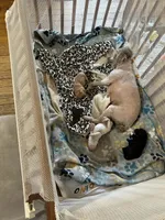 processed/63dd0e6e-184d-4c4a-8467-98d596dbf173/facility/cb12c28f-0763-4f9e-bfb3-f7c5b5ce1348