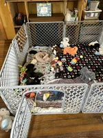 processed/63dd0e6e-184d-4c4a-8467-98d596dbf173/facility/e0e7896c-b2f2-4e54-b839-464860e77a06