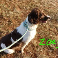 processed/63e3658e-5479-4901-bd30-ce168cc22abd/facility/008b06e8-fd34-421f-bf28-a90e7e5797ac