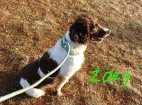 processed/63e3658e-5479-4901-bd30-ce168cc22abd/facility/008b06e8-fd34-421f-bf28-a90e7e5797ac