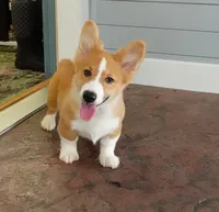 processed/63e3658e-5479-4901-bd30-ce168cc22abd/facility/359bacb6-5eea-4143-a7dc-5781ccfc80a1