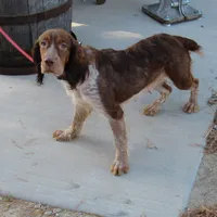 processed/63e3658e-5479-4901-bd30-ce168cc22abd/facility/837e6ab3-d443-4337-9dc3-584dc71a270f