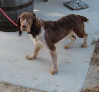 processed/63e3658e-5479-4901-bd30-ce168cc22abd/facility/837e6ab3-d443-4337-9dc3-584dc71a270f