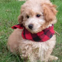 processed/63e3658e-5479-4901-bd30-ce168cc22abd/facility/a356f133-9053-44c7-add8-f1fca4f88e04